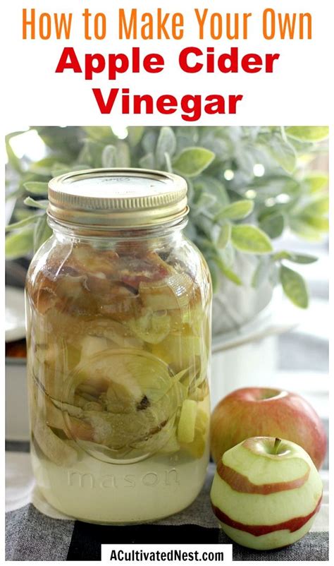 Homemade Apple Cider Vinegar Artofit