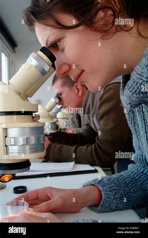 Students Microscopes Uk Hi Res Stock Photography And Images Alamy