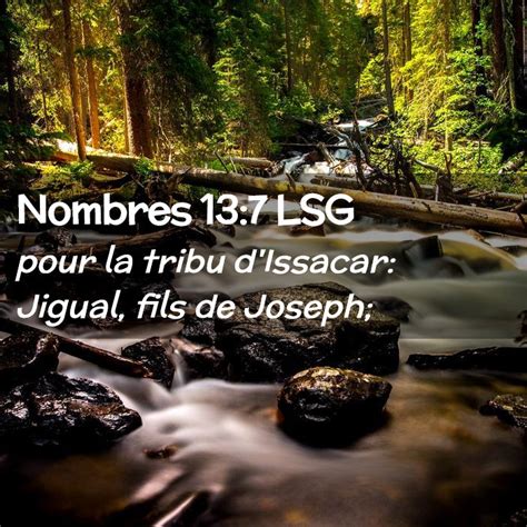 Nombres Lsg Pour La Tribu Dissacar Jigual Fils De