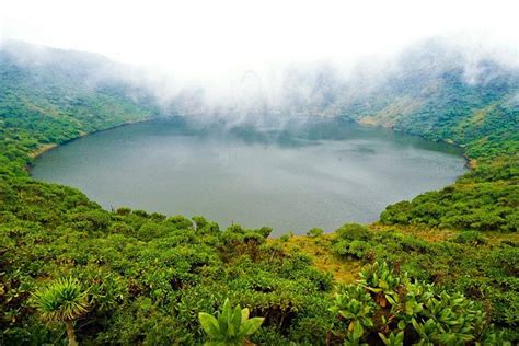 1 Day Mount Bisoke Volcano Hiking Tour 2021 Kigali Viator