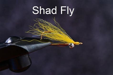 Shad Flies 4 Saltwater Custom Flies