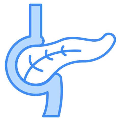 Pancreas Generic Color Lineal Color Icon