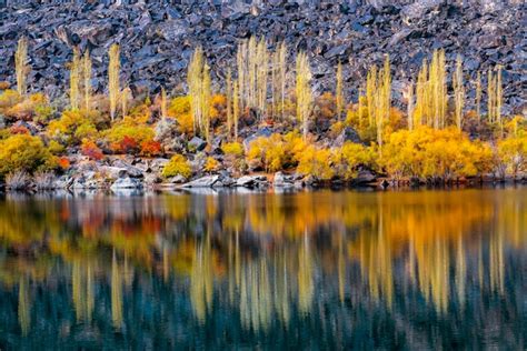 Premium Photo | A lake with trees and the water is reflecting the ...