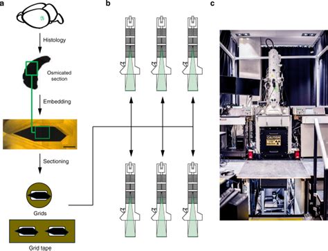 A Petascale Automated Imaging Pipeline For Mapping Neuronal Circuits