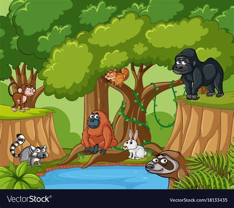 Many wild animals in forest Royalty Free Vector Image