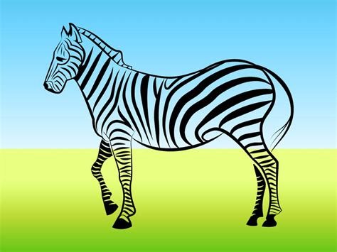 Zebra Outline Vector Art & Graphics | freevector.com