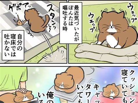 嘔吐する猫 吐きそうになると決まって 展開に分かるの声 grape グレイプ