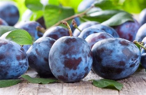 Почему полезно есть сливы?