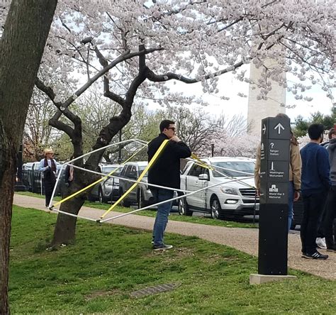 Well, that's one way to avoid the crowds 🌸🤷 🌸 : washingtondc
