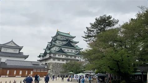 Nagoya Castle: History, Architecture, and Visitor Information