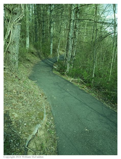 Amateur Radio Station Wd Rif Pota Activation Strouds Run State Park