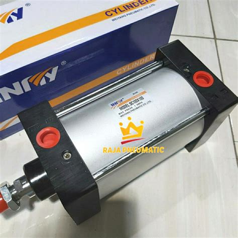 Jual CYLINDER PNEUMATIC ANGIN TYPE SC 100 X 100 Jakarta Barat RAJA