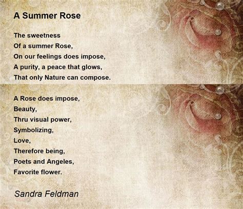 A Summer Rose Poem By Sandra Feldman Poem Hunter