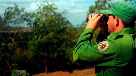 Contribuyen guardabosques del Ariguanabo a la conservación del Área