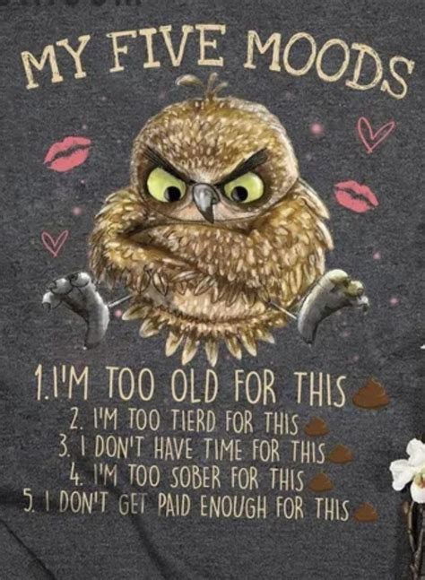 Pin By Zeina Jaffa On As I Get Wiser Part II Funny Owl Quotes Funny