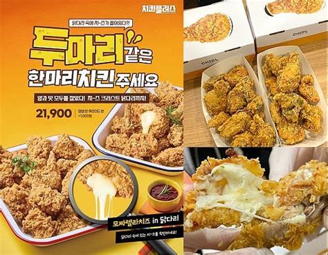 치킨플러스 두마리같은 한마리 치킨 주세요 정식 출시 아주경제