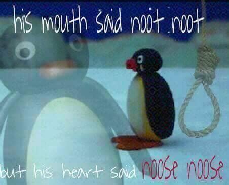 noot noot on Tumblr