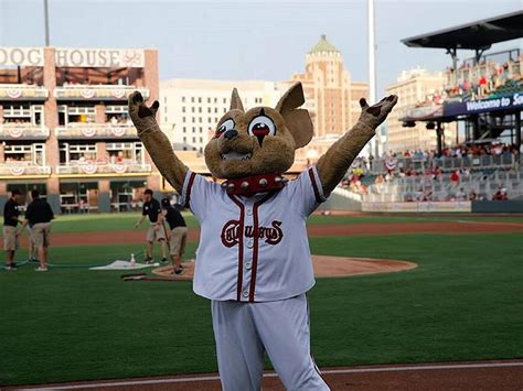 Chico Named Finalist For USA Today’s Best Minor League Mascot