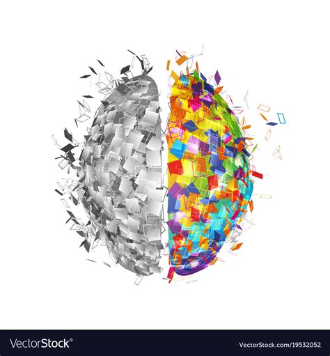 Abstract human brain with colorful right part Vector Image