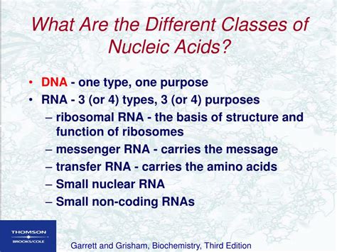 PPT DNA Structure Chapters 10 11 Biochemistry By Reginald Garrett And