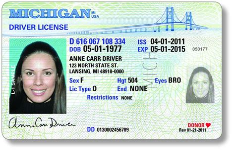 Michigan Driver's License Appeals | Rudoi Law