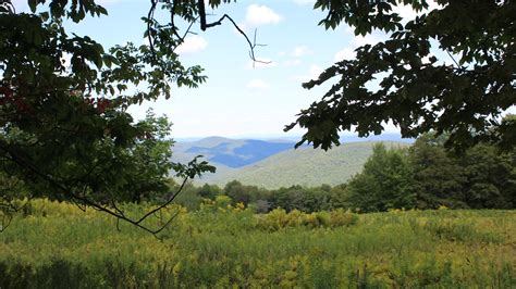 Pedestrian-only days for dover st will be tested this summer season 33