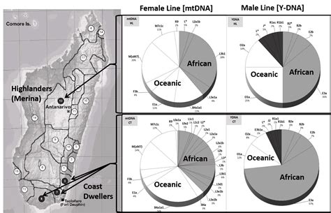 The Malagasy Language, Genes, and Gender Puzzle | Languages Of The World