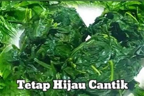 Resep Dan Cara Merebus Daun Singkong Agar Tetap Hijau Cantik Serta