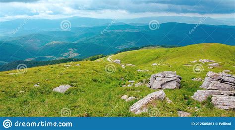 Beautiful Green Nature Scenery In Summer Stock Image Image Of Grass