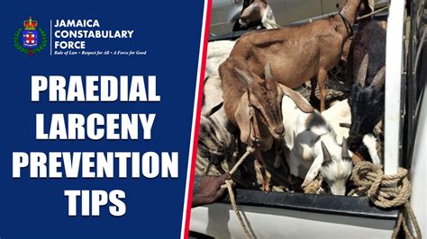 Praedial Larceny Prevention Tips - Jamaica Constabulary Force