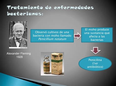 Ppt Infecciones Bacterianas Y Virales Powerpoint Presentation Free