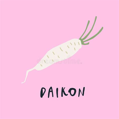 Daikon Drawing Stock Illustrations 354 Daikon Drawing Stock