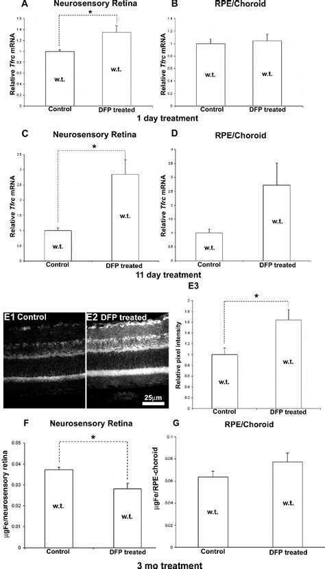 Figure From The Oral Iron Chelator Deferiprone Protects Against Iron