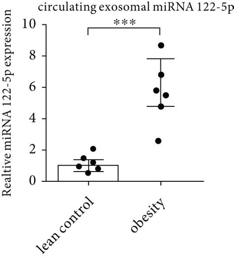 Obesity Enhances The Release Of Circulating Exosomal Mirna 122 5p