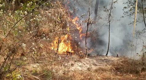 Conred On Twitter Quich Se Registra Incendio Forestal En Aldea