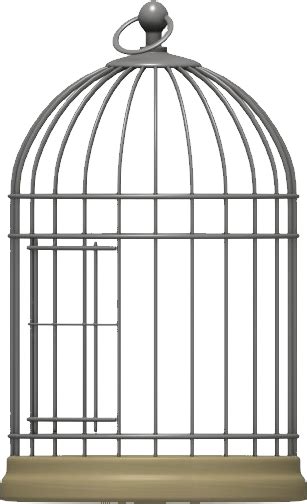 Cage Bird PNG