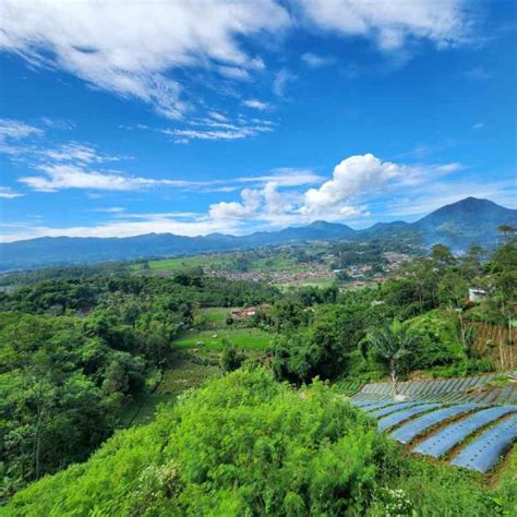 Jual Tanah Murah Di Ciwidey Cocok Untuk Kebun Dan Peternakan