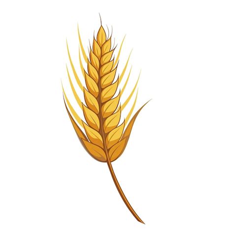 Wheat Clip Art Vectors And Illustrations For Free Download Freepik