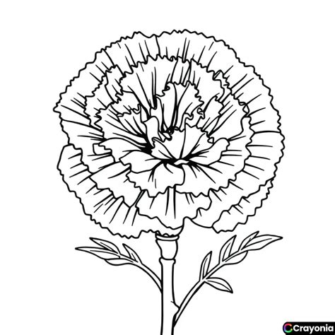 kumpulan gambar  mewarnai tema bunga