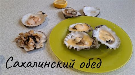 Сахалин - собираем морепродукты по отливу устрицы и гребешок#сахалин # ...