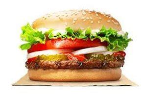 1 Adet Burger King Whopper Jr Burger Kaç Kalori kackalori tr