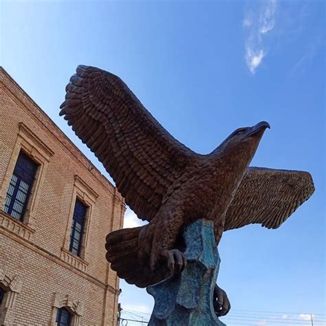 Museo de las Aves un espacio que conserva la naturaleza de México