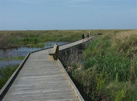 Anahuac National Wildlife Refuge – DearTexas,