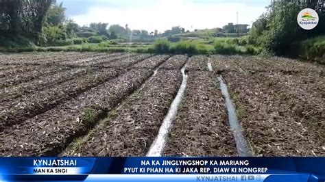 NA KA JINGLYNGSHOP KA MARIANG PYUT KI PHAN HA KI JAKA REP DIAW KI