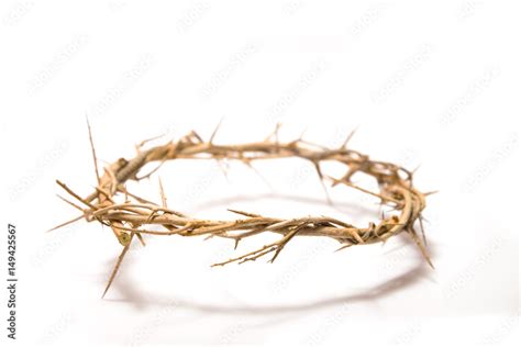 Crown of Thorns Stock Photo | Adobe Stock