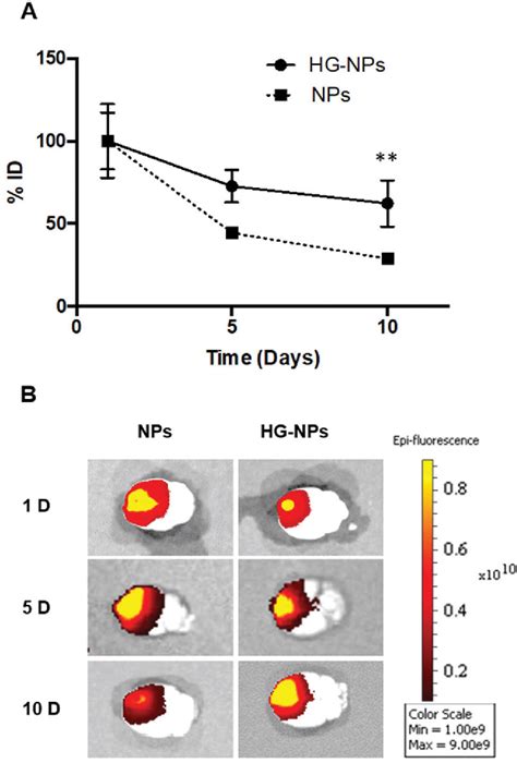 Figure 3 From Intratumoral Injection Of Hydrogel Embedded Nanoparticles