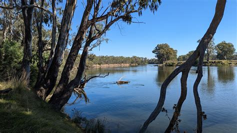 Huon Hill And Kiewa River Trail Navigator Victoria