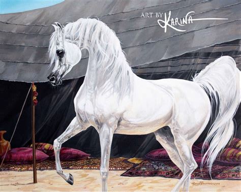 Arabian Horse Oil Paintings Home Decor And Accessories Ts For All