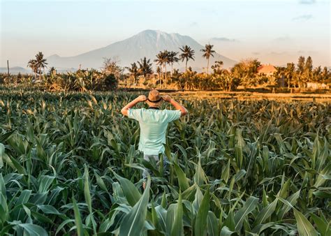 54 Aktivitas Seru Liburan Di Bali 2023 Honeycombers Bali