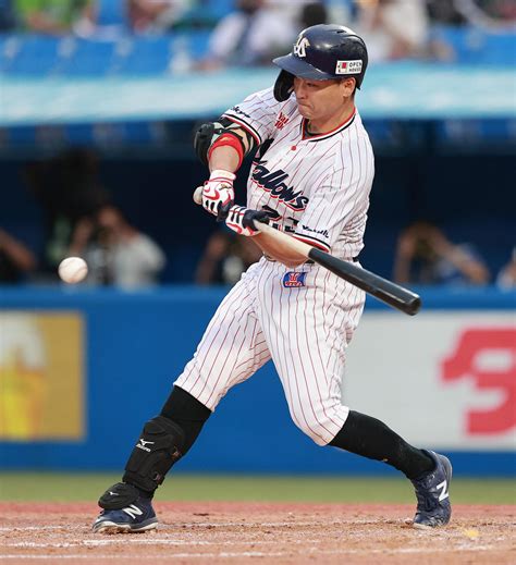 ヤクルト青木宣親が10年ぶりzozo、好相性発揮なるか／交流戦見どころ プロ野球写真ニュース 日刊スポーツ